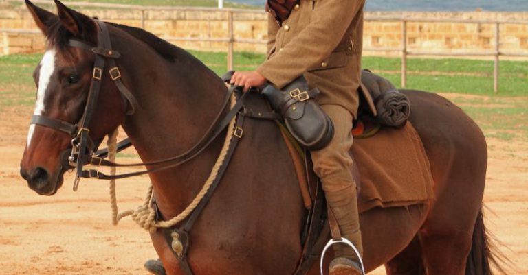 Youth Empire - Young male horse guard during near sea