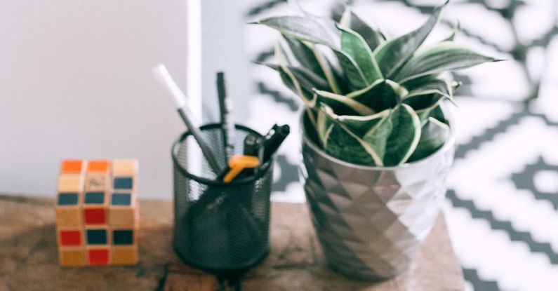 Puzzle Growth - Potted plants with cube puzzle and stationery