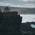 Tree Storm - People Standing on Rock Formation Near Sea Under White Clouds