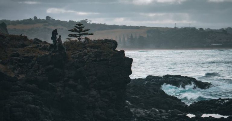 Tree Storm - People Standing on Rock Formation Near Sea Under White Clouds